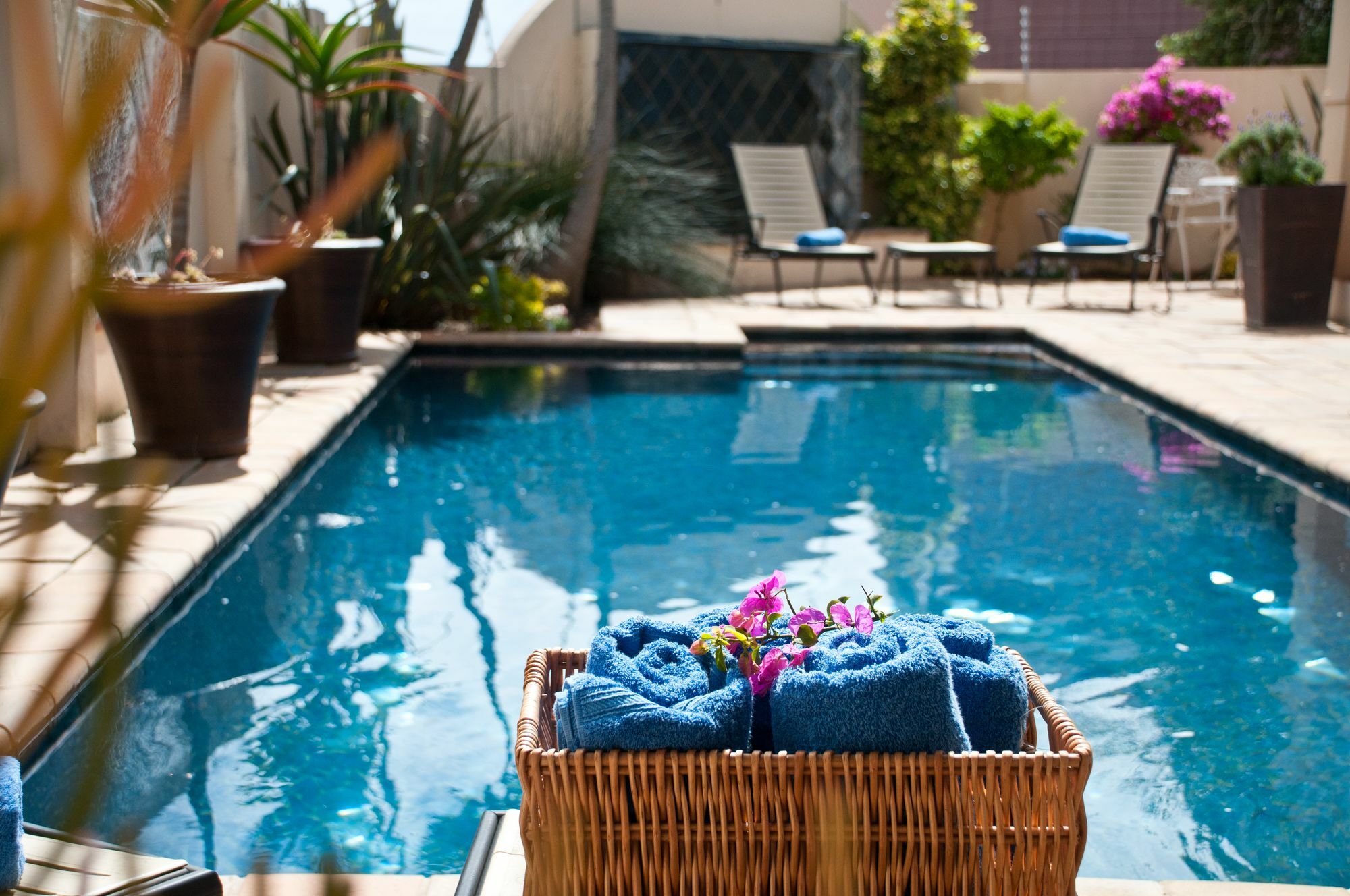 Cape Flame Guest House Port Elizabeth Dış mekan fotoğraf